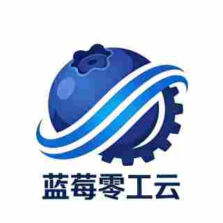 蓝莓零工云